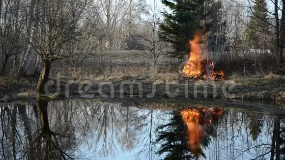 池塘附近花园早春的火视频的预览图