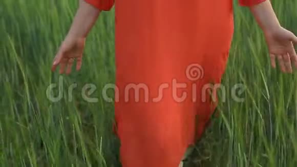 一位穿着红色连衣裙的白种人红发女子在夏日日落时分带着小麦在农场里散步视频的预览图
