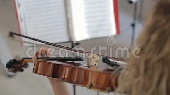 音乐家演奏小提琴经典音乐视频的预览图