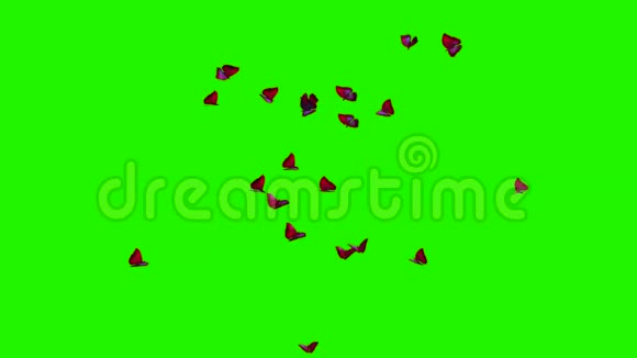 红蝶大群绿屏视频的预览图