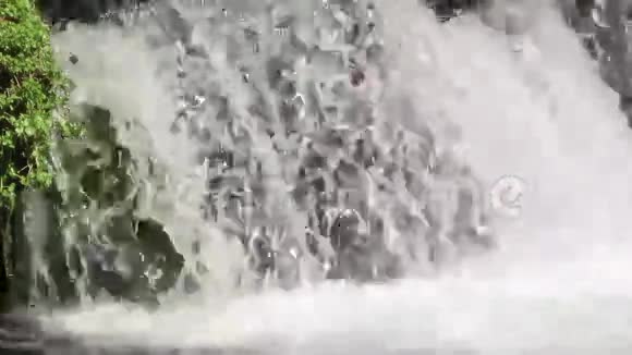 布朗特劳特跳跃瀑布视频的预览图