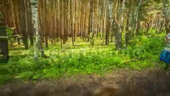 在树林里慢跑视频的预览图