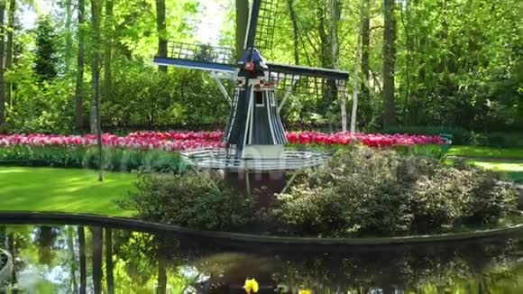 荷兰风力发电厂视频的预览图