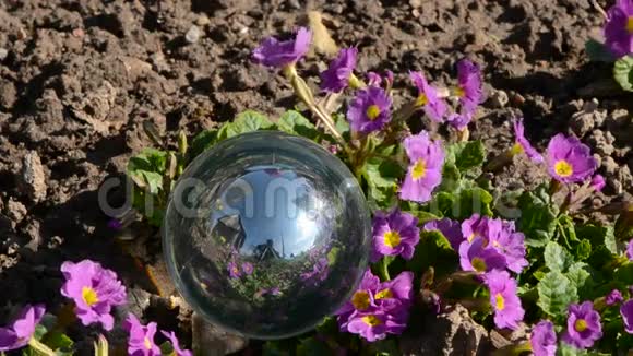 水晶球和春天的花朵视频的预览图
