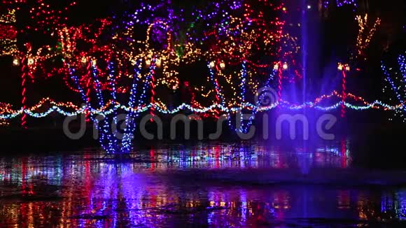 圣诞喷泉灯光展示视频的预览图