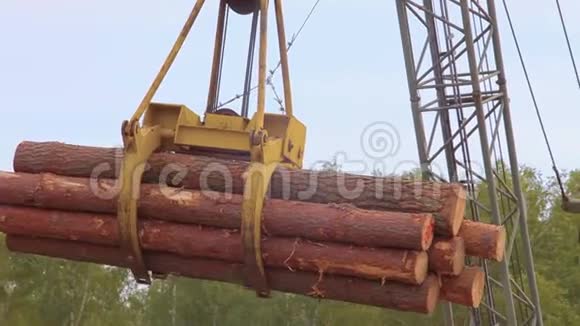 起重机卸载原木起重机卸载原木视频的预览图