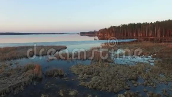 4K早春日落时在野生湖泊上空低空飞行空中飞行视频的预览图