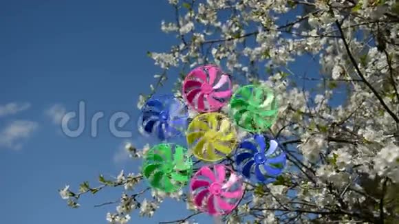 春天樱花和风车玩具视频的预览图