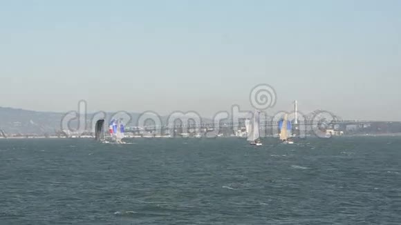 旧金山附近的帆船视频的预览图
