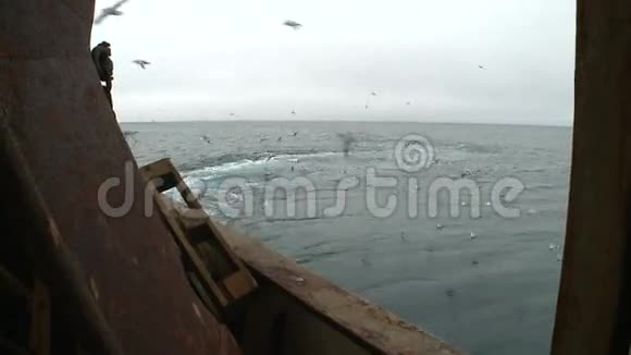 渔船后面的海鸥视频的预览图