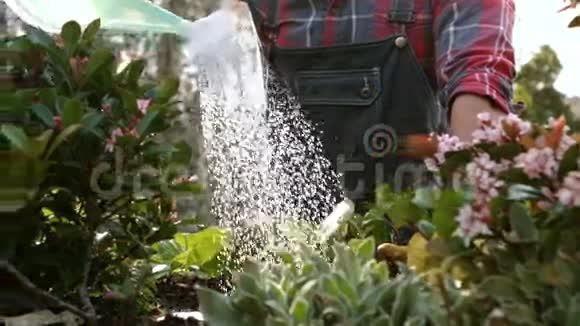 微笑的园丁为植物浇水视频的预览图