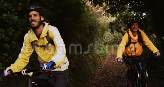 阳光明媚的一天一对山地自行车夫妇在森林里骑马视频的预览图