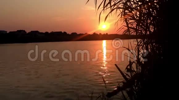 湖边的日落水反射视频的预览图
