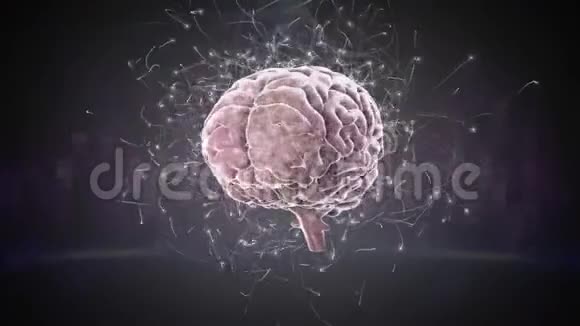 大脑和数字棒的数字组合视频的预览图