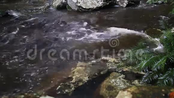 泰国洛伊省普克拉杜恩国家公园的Penpobmai瀑布视频的预览图
