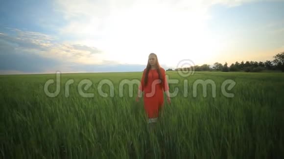 一位穿着红色连衣裙的白种人红发女子在夏日日落时分带着小麦在农场里散步视频的预览图