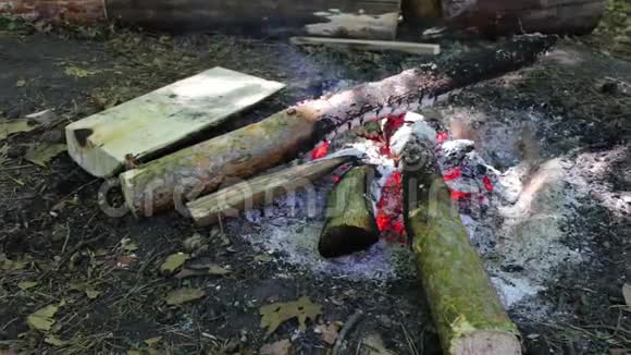 燃烧的大圆木在火中燃烧和阴燃白天室外篝火视频的预览图