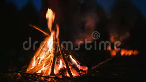 森林中干树枝燃烧的篝火特写视频的预览图