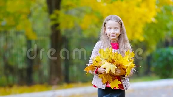 美丽秋日户外黄橙叶花束可爱小女孩写真视频的预览图