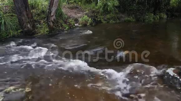 泰国洛伊省普克拉杜恩国家公园的Penpobmai瀑布视频的预览图