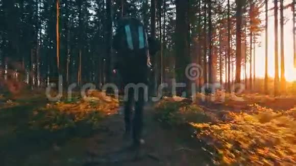 日落时徒步在森林里徒步旅行视频的预览图