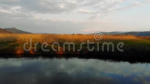 爱琴海春天的河流视频的预览图