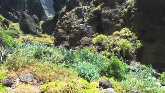 在西班牙加那利群岛的特内里费马斯卡峡谷和悬崖的风景火山景观的空中镜头视频的预览图