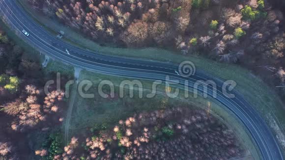 从车的高度看秋林环绕的道路视频的预览图