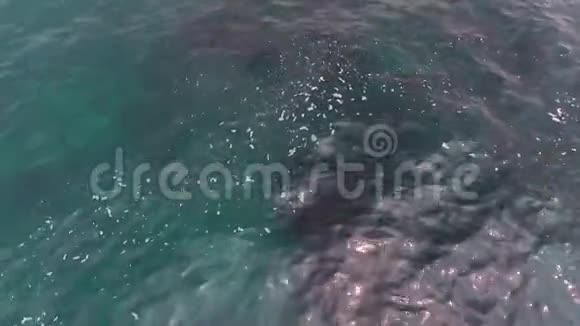 从空中俯瞰葡萄牙海浪在海滩上的撞击无人机镜头视频的预览图