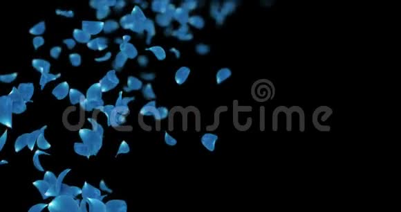 飞行模糊浅蓝色玫瑰花花瓣占位符阿尔法哑光环4k视频的预览图