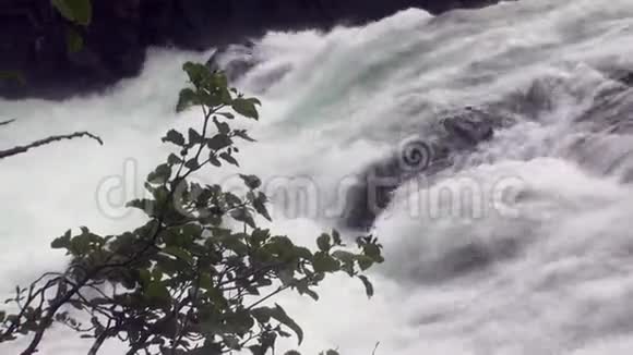 阿拉斯加山河瀑布视频的预览图