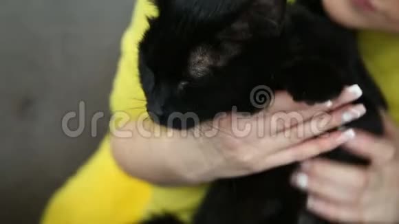 对宠物的爱美丽的黑发女孩带着一只黑猫在家里的沙发上客厅里放松视频的预览图