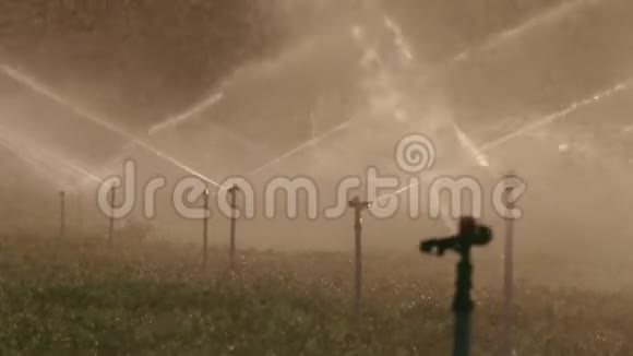 日落时许多撞击喷头缓慢地灌溉一片农田视频的预览图