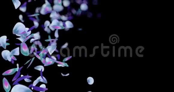 飞行模糊紫绿色蓝色花瓣占位符阿尔法哑光环4k视频的预览图