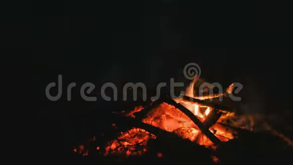 夜间在森林中燃烧的干树枝的篝火视频的预览图