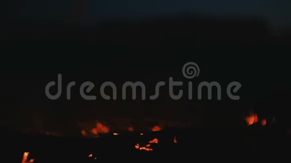 夜间在森林中燃烧的干树枝的篝火视频的预览图