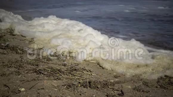水和海岸上的脏泡沫富营养化水库污染生态问题视频的预览图