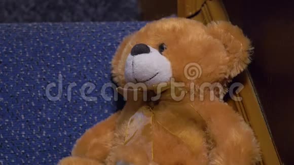 棕色泰迪熊玩具视频的预览图