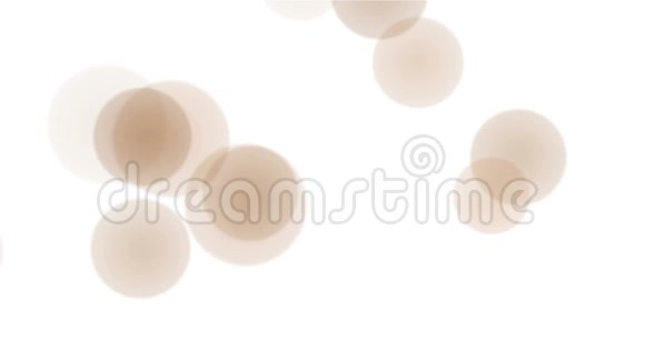 圆形球点圆灯背景朦胧细胞孢子微生物阶段视频的预览图