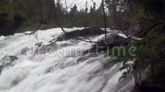 阿拉斯加山河瀑布视频的预览图