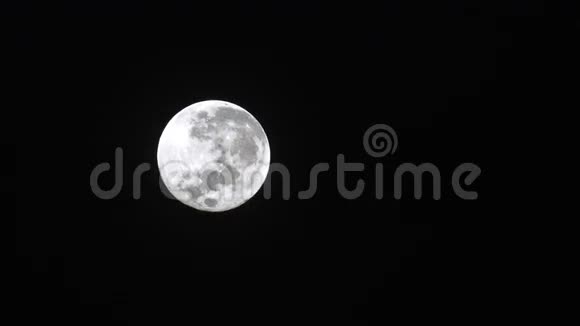 满月之光视频的预览图