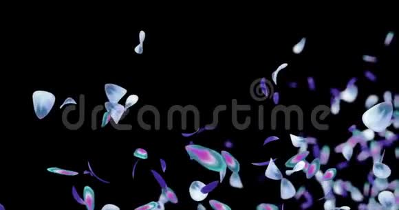 飞行模糊蓝色紫色紫罗兰花花瓣占位符阿尔法哑光环4k视频的预览图