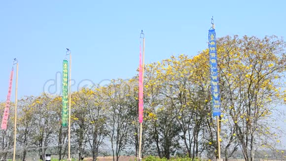泰国北部有祈祷旗或兰纳东旗的风视频的预览图