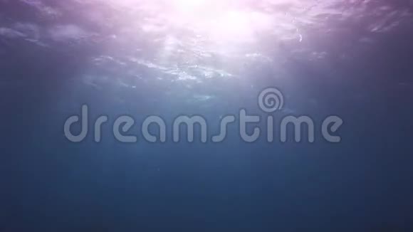 水下的阳光背景视频的预览图