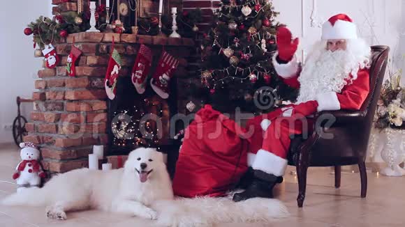 圣诞老人和狗坐在圣诞树附近视频的预览图