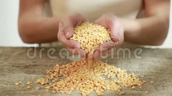 准备播种的豌豆种子视频的预览图