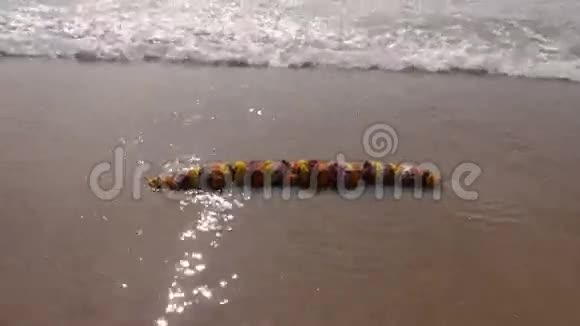 印度教礼花花环和孟加拉湾海浪视频的预览图