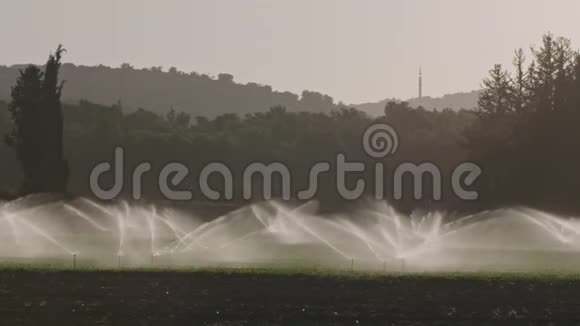 日落时许多撞击喷头缓慢地灌溉一片农田视频的预览图