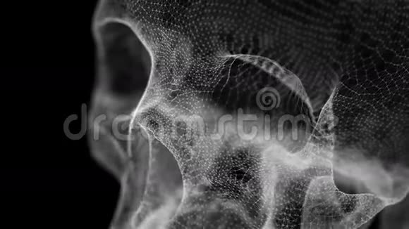 人类头骨网格视频的预览图
