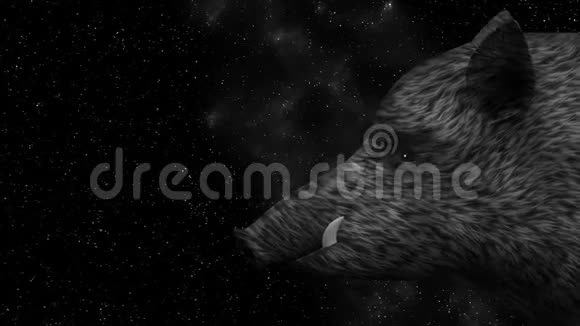 星空背景动画上的野猪视频的预览图